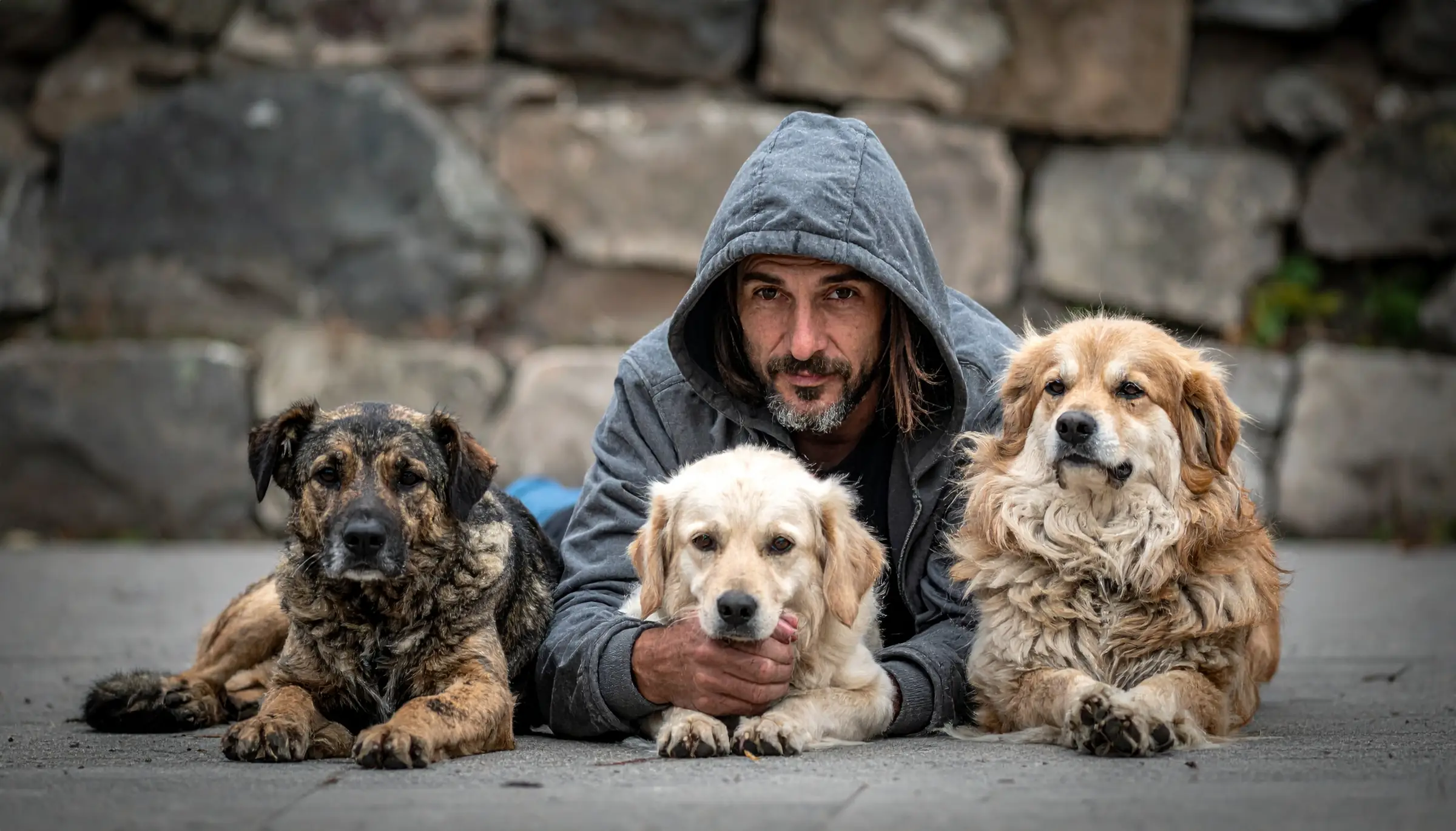 Tiertafel Werne e.V.